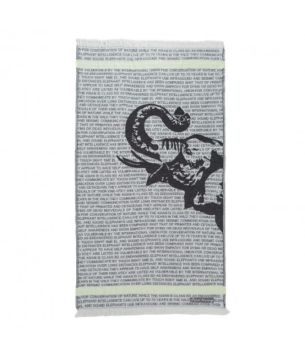 Elephas Peştemal